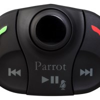 Parrot